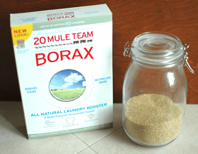 Borax El Asesino De Hormigas Plagaswiki